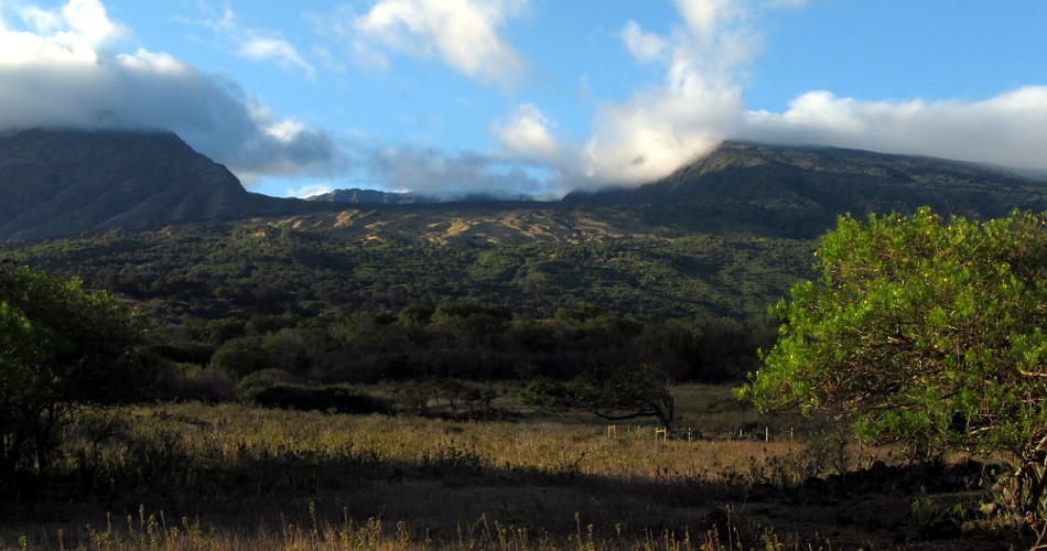 Obrázok z galérie: Haleakal?